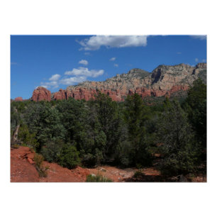 Panorama of Red Rocks in Sedona Arizona Poster