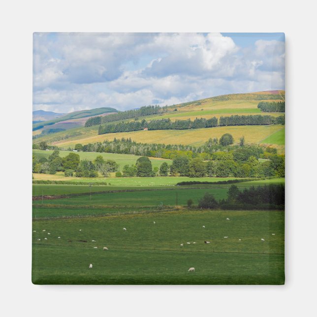Panorama of Scottish landscape near Blairgowrie, S Magnet (Front)