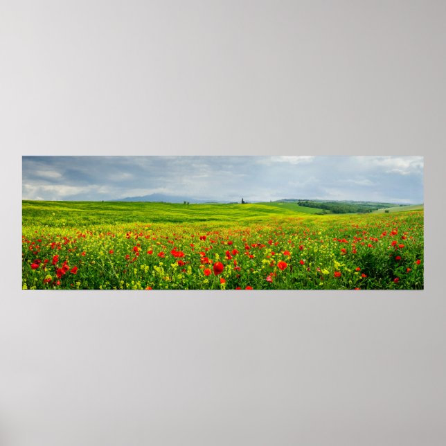 Panorama of Tuscan landscape Poster (Front)