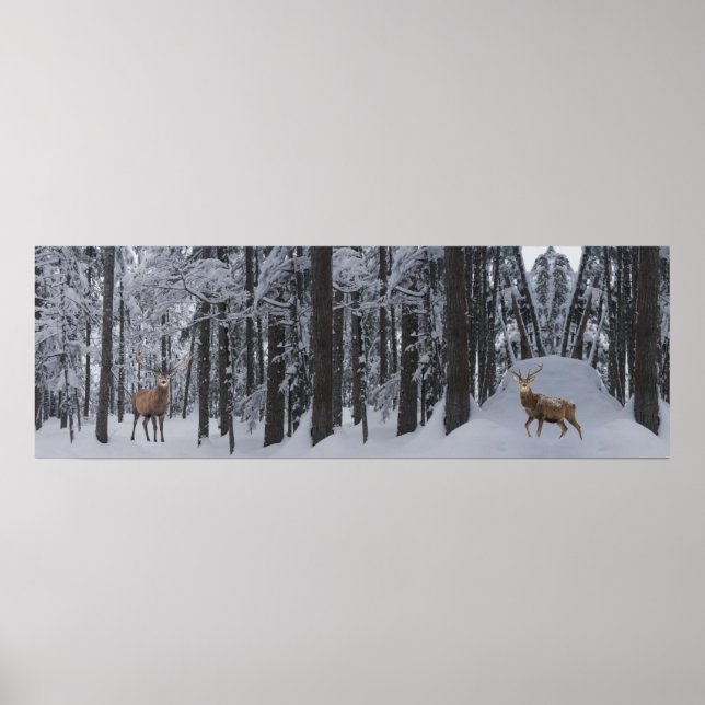 Panorama Poster (Front)