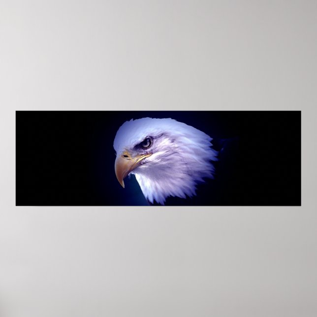 Panoramic American Bald Eagle Poster Print (Front)