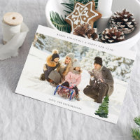  Panoramic Chic H Photo - Christmas Tree