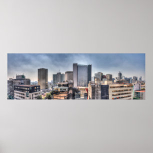 Panoramic Cityscape Of Mexico City Poster