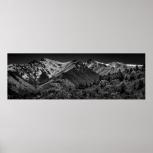 Panoramic forest and andes mountains landscape poster