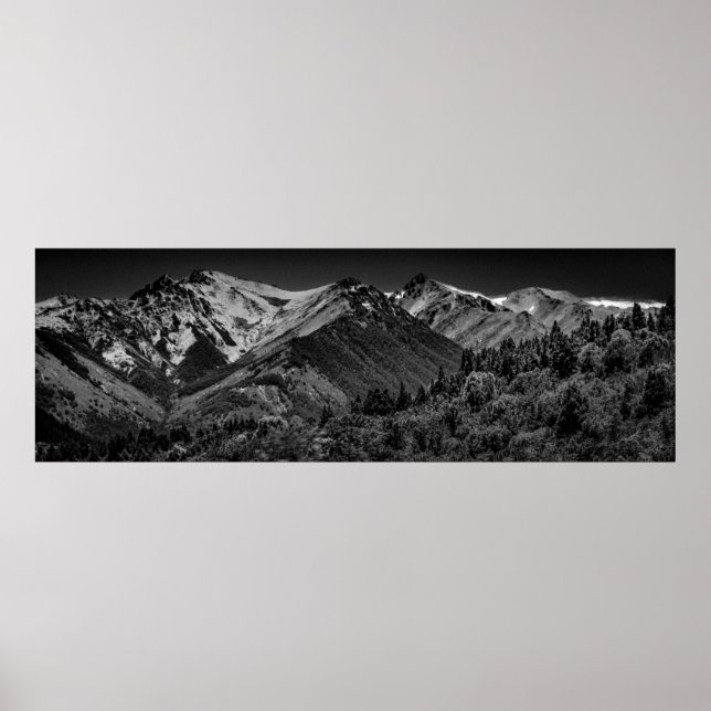 Panoramic forest and andes mountains landscape poster (Front)