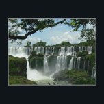 Panoramic Of The Iguazu Falls Postcard<br><div class="desc">Panoramic of the Iguazu Falls on the Argentina side.</div>