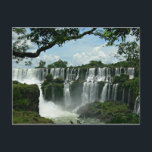 Panoramic Of The Iguazu Falls Postcard<br><div class="desc">Panoramic of the Iguazu Falls on the Argentina side.</div>