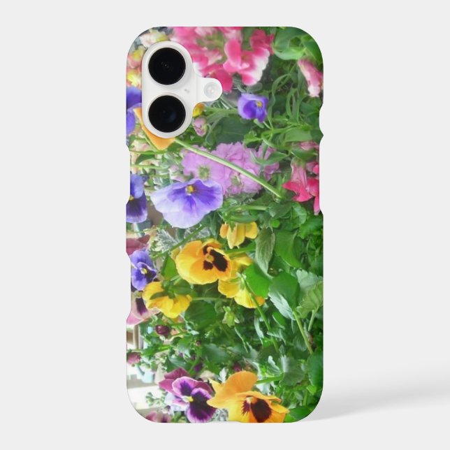 Panoramic Pansies (Back)