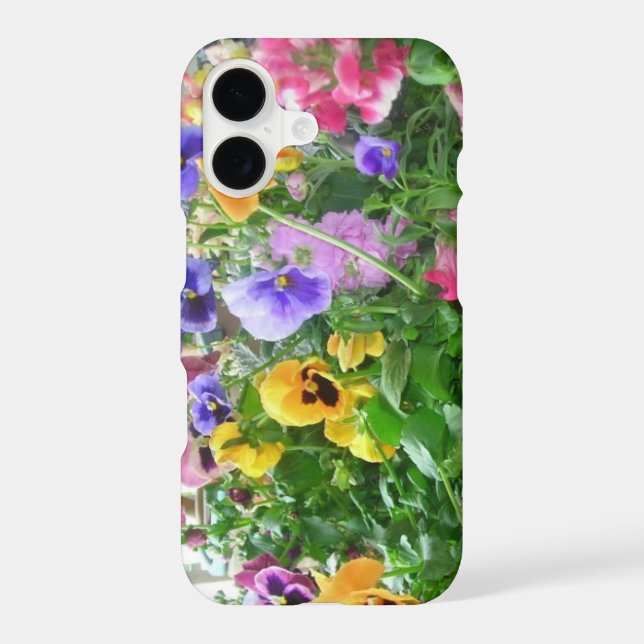 Panoramic Pansies (Back)