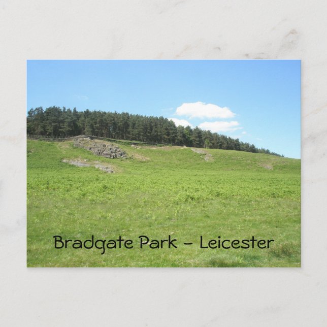 Panoramic View Bradgate Park Postcard (Front)