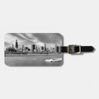 Panoramic view of Chicago skyline in winter