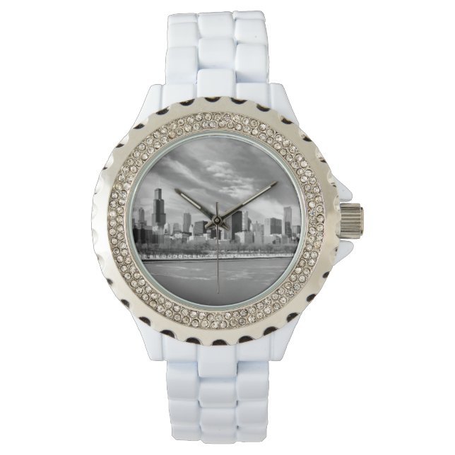 Panoramic view of Chicago skyline in winter Watch (Front)