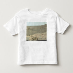 Panoramic view of Mars 2 Toddler T-Shirt