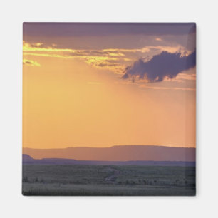 Panoramic view of single acacia tree at magnet