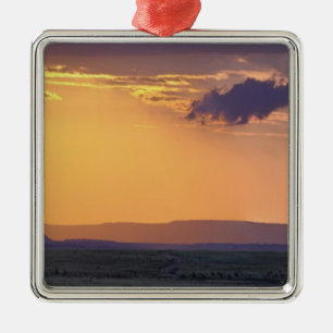 Panoramic view of single acacia tree at metal ornament