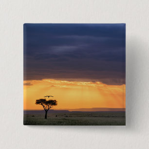 Panoramic view of Vulture and acacia tree 15 Cm Square Badge