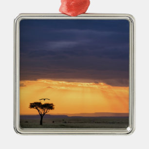 Panoramic view of Vulture and acacia tree Metal Ornament