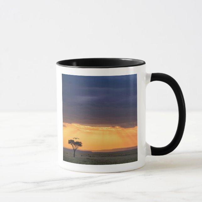 Panoramic view of Vulture and acacia tree Mug (Right)