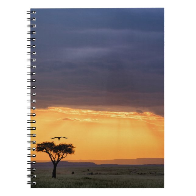 Panoramic view of Vulture and acacia tree Notebook (Front)