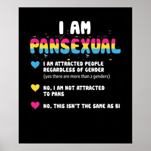 Pansexual Definition - Funny Gay Pride LGBT Poster