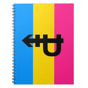 PANSEXUAL FLAG ORIGINAL -.png Notebook