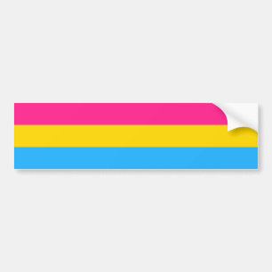 Pansexual Flag & Pride community /gender car Bumper Sticker