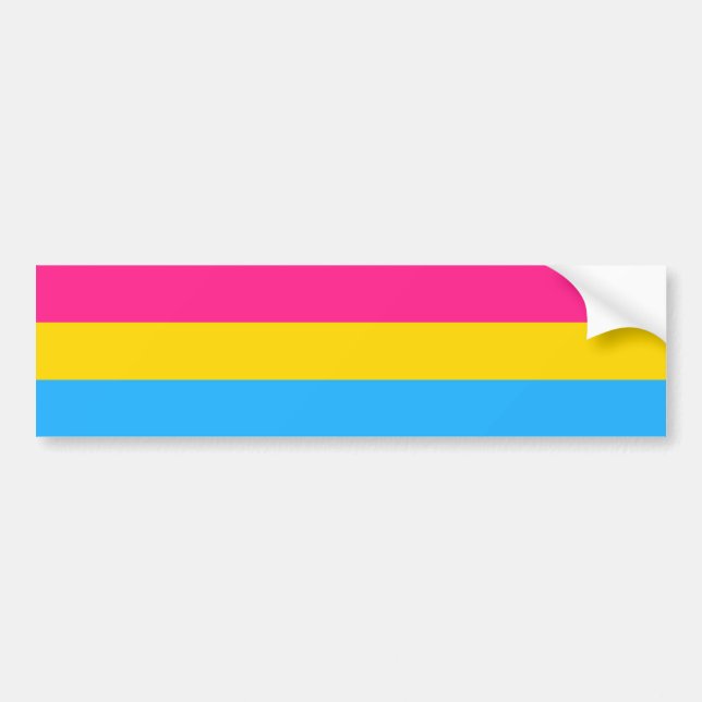 Pansexual Flag & Pride community /gender car Bumper Sticker (Front)