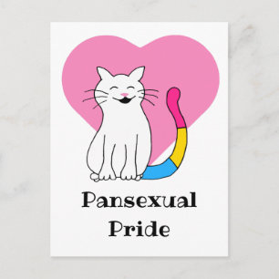 Pansexual Pride Cat Postcard
