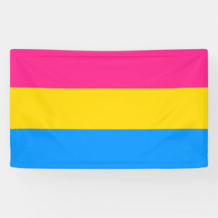 Pansexual Pride Colours Banner