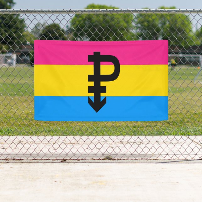 Pansexual Pride Flag Banner (Insitu)