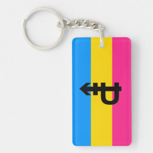 Pansexual Pride Flag Key Ring