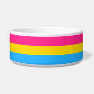 Pansexual Pride Flag LGBTQ