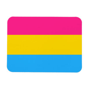 Pansexual Pride Flag LGBTQ Magnet