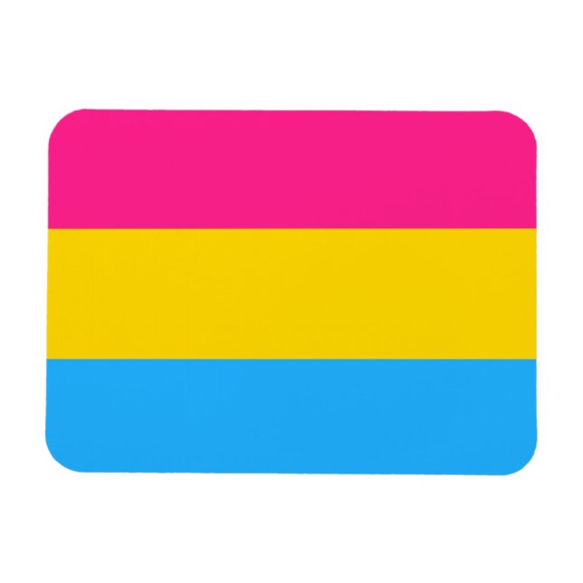Pansexual Pride Flag LGBTQ Magnet (Horizontal)