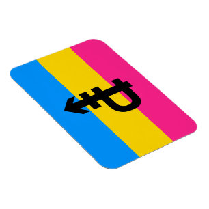 Pansexual Pride Flag Magnet
