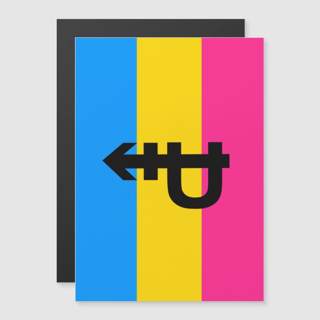 Pansexual Pride Flag Magnetic Invitation (Front/Back)