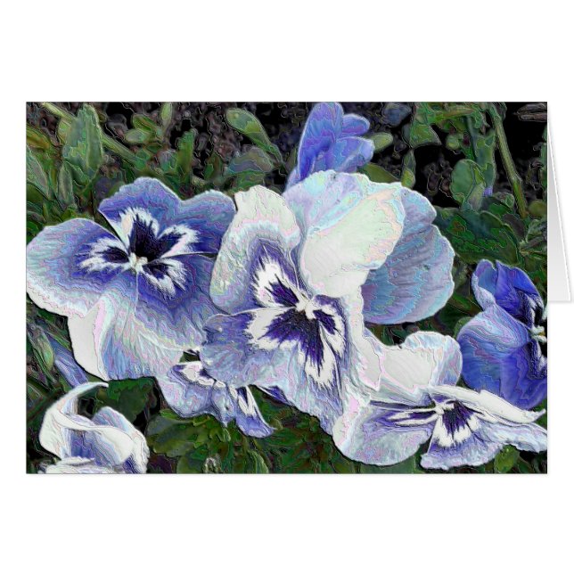 PANSIES (Front Horizontal)