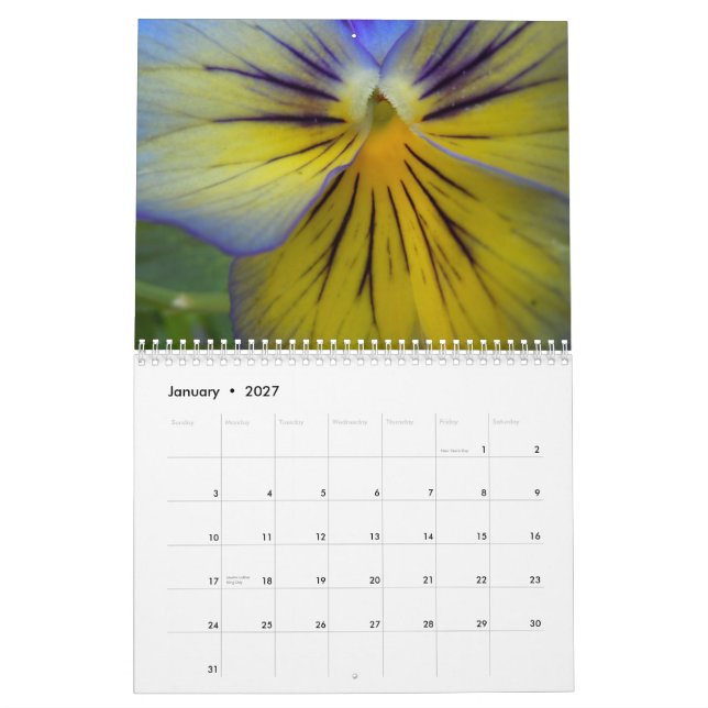 Pansies 2015 calendar (Jan 2027)