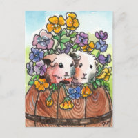 Pansies and Friends