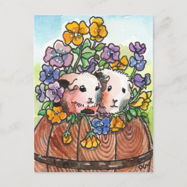 Pansies and Friends Postcard (Front)