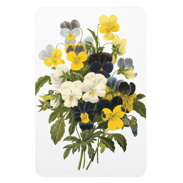 Pansies and Violets Viintage Art Magnet (Vertical)