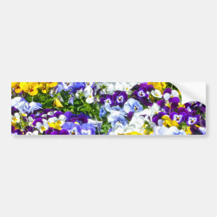 Pansies Bumper Sticker