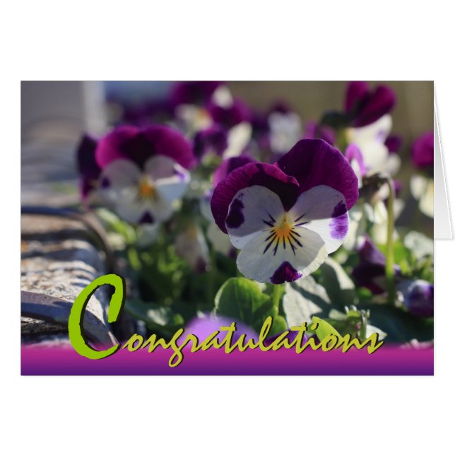 Pansies CC0473  Flower Celebration Card (Front Horizontal)
