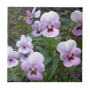 Pansies Ceramic Tile