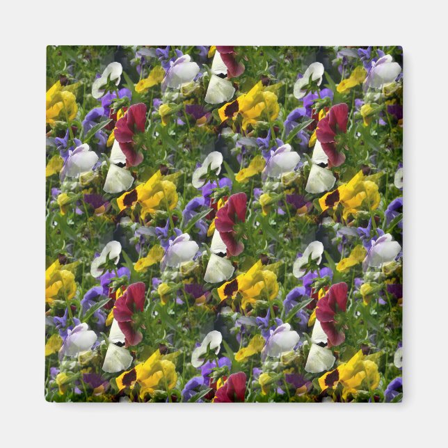 Pansies Forever... Magnet (Front)