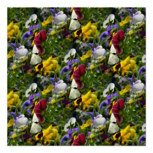 Pansies Forever... Poster