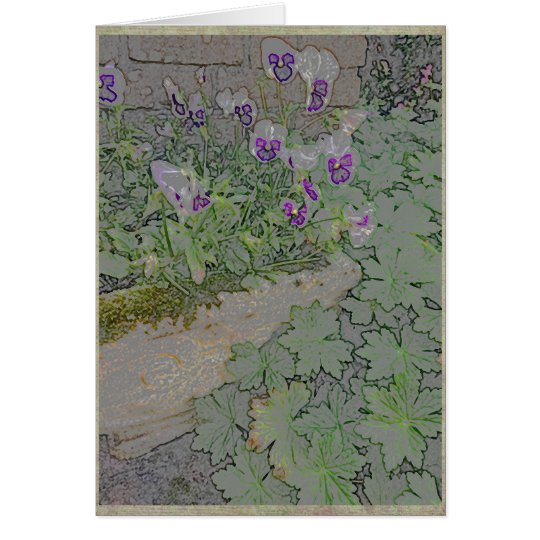 Pansies in terra-cotta planter card