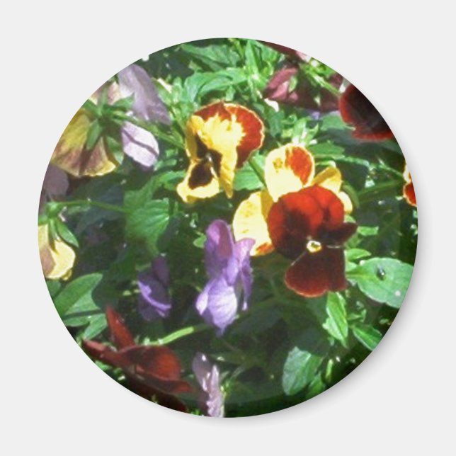 Pansies Magnet (Front)