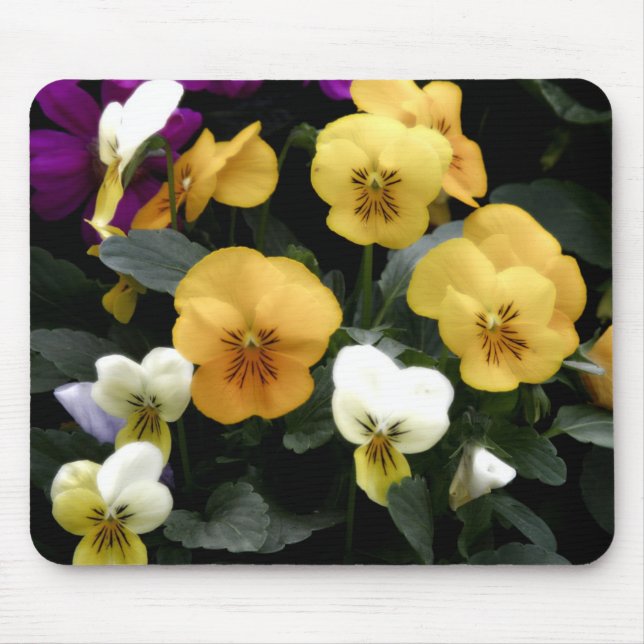 Pansies Mouse Pad (Front)