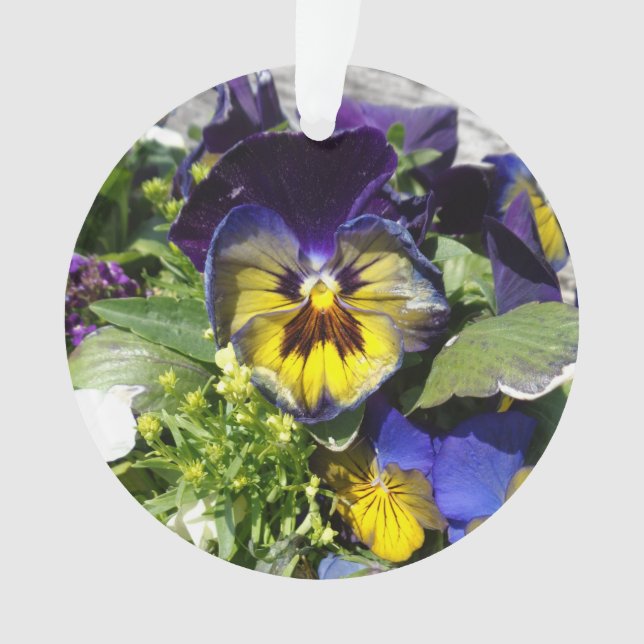 PANSIES! ORNAMENT (Front)